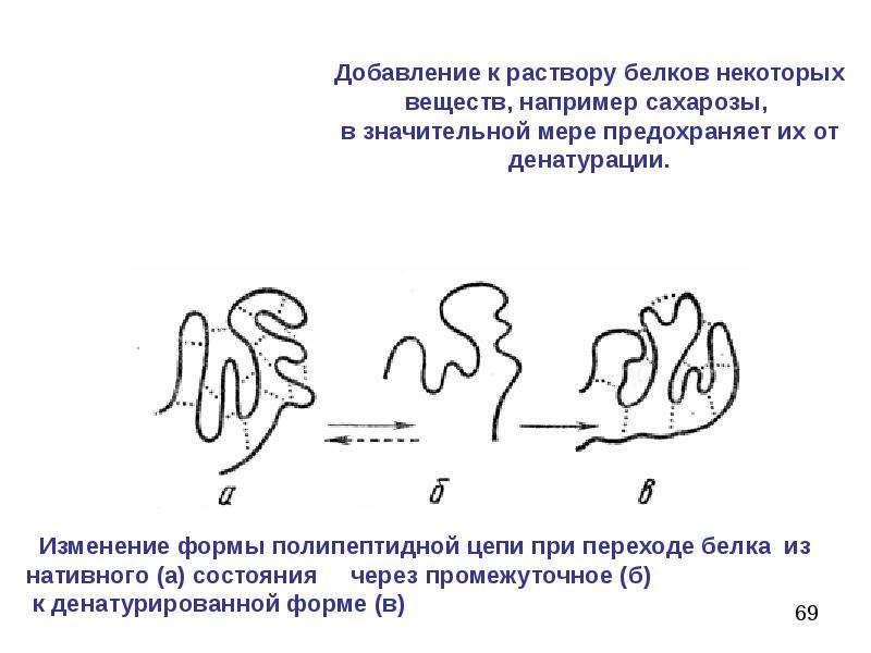 Форма белка. Нативные белки. Нативные и денатурированные белки. Нативное состояние белка. Нативная форма белков.