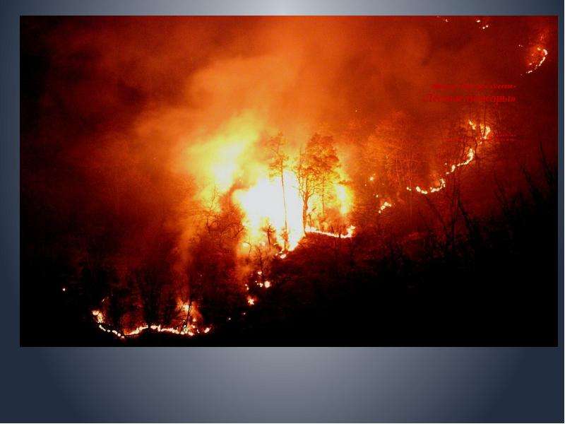Экоурок «Сделаем вместе» «Лесные пожары» составил Чирков Руслан, член Школьного лесничества «Лесной