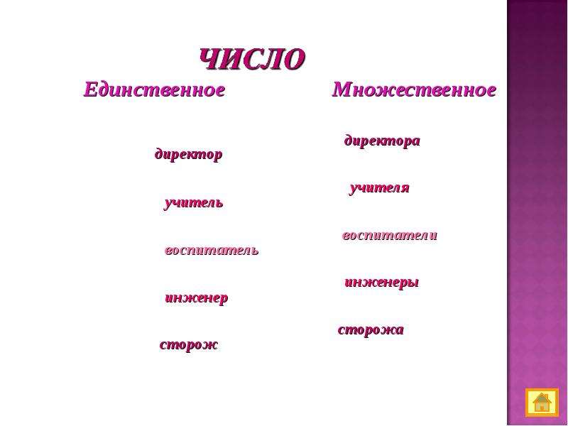 Множественное число имен существительных 5 класс презентация