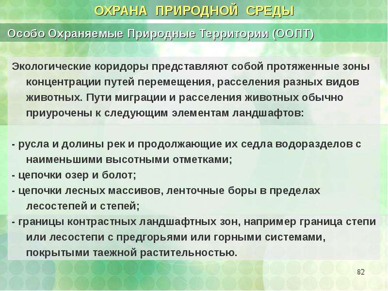 Специальные среды. Экологический коридор презентация. Экологические коридоры это определение. Экологические коридоры это кратко. Функции экологический коридор.