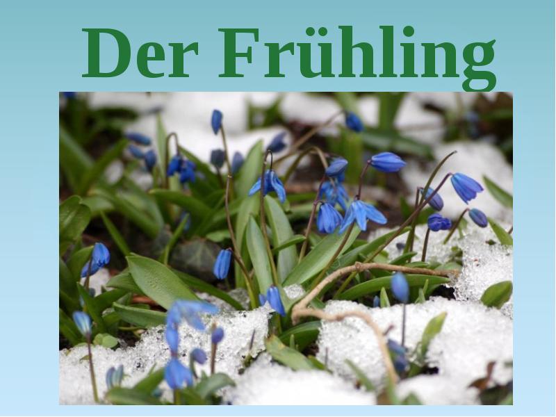 Der frühling ist