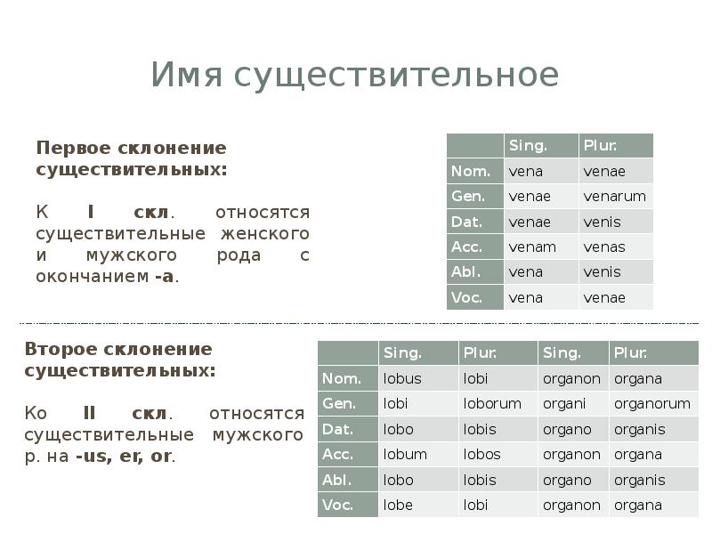 План по латыни