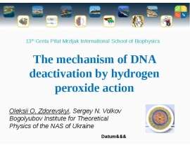 The mechanism of DNA deactivation by hydrogen peroxide action