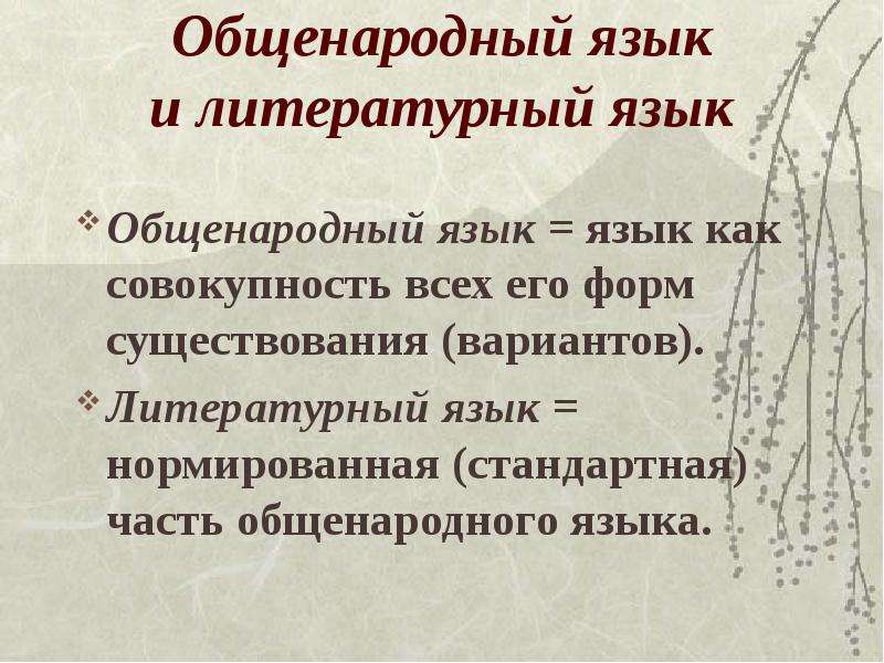 Литературные варианты языка