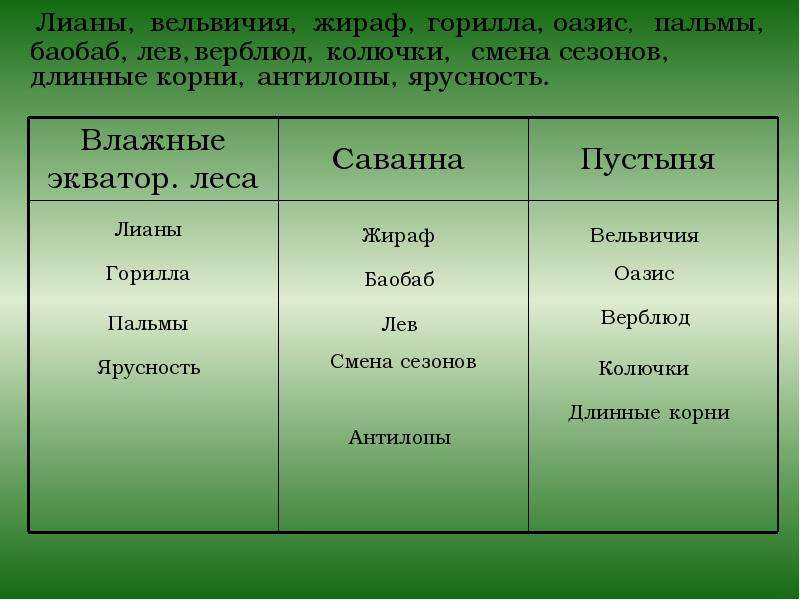 Характеристика природных зон африки