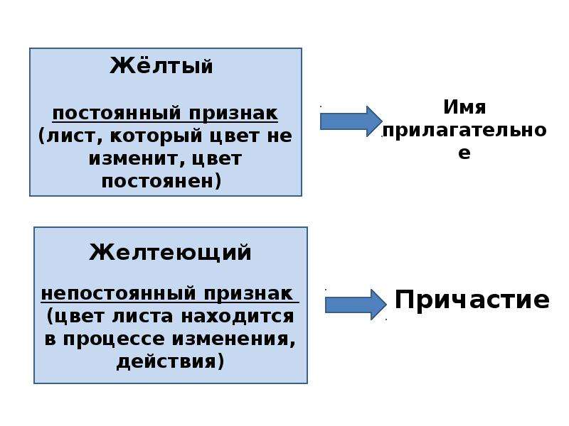 Имя прилагательное и причастие