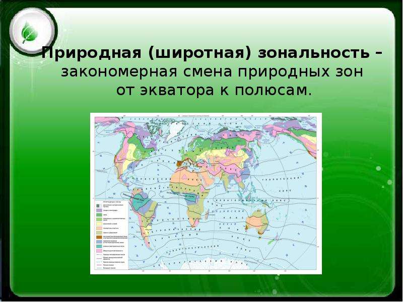 Изучите рисунок изменения растительности от экватора к полюсам