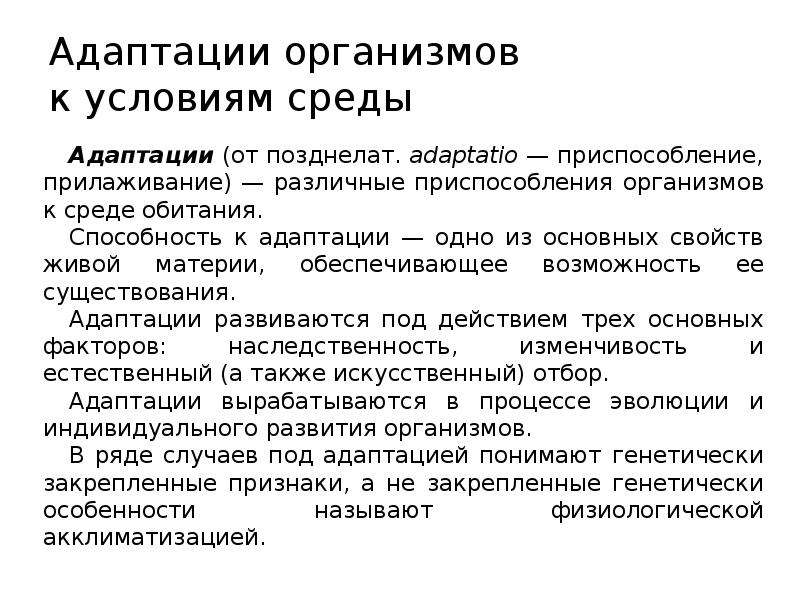 Адаптация организмов к условиям окружающей среды проект