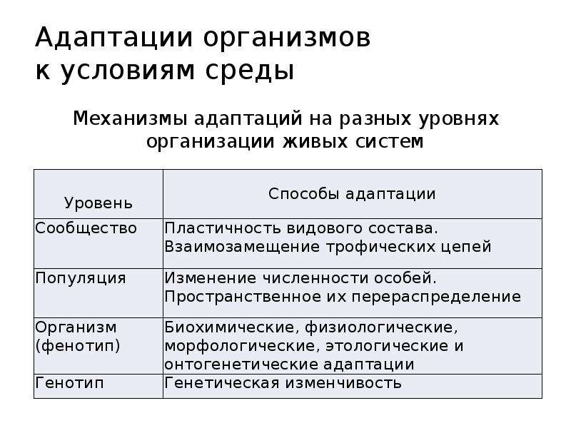 Адаптация организмов к условиям окружающей среды проект