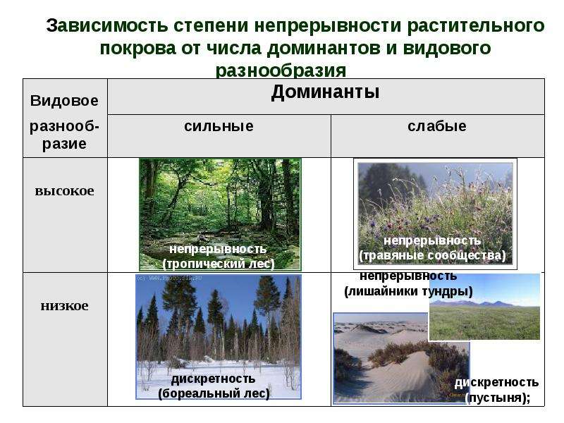 Видовая и пространственная структура экосистемы презентация