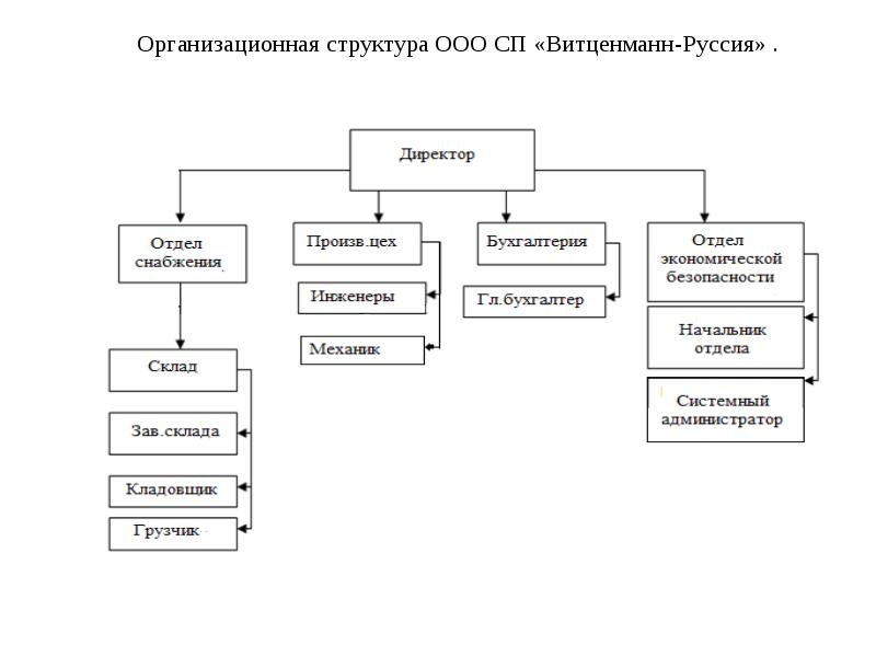 Организационная структура ООО СП «Витценманн-Руссия» .