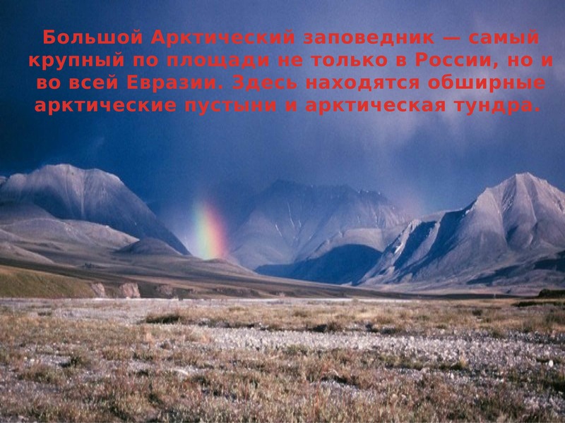 Заповедники расположенные в арктической зоне. Арктический заповедник России. Заповедники России большой Арктический заповедник. Самый большой Арктический заповедник России. Самый большой заповедник России большой Арктический заповедник.