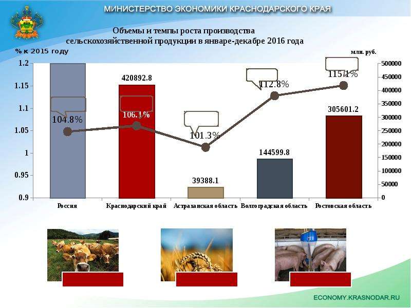 Социальное развитие краснодарского края