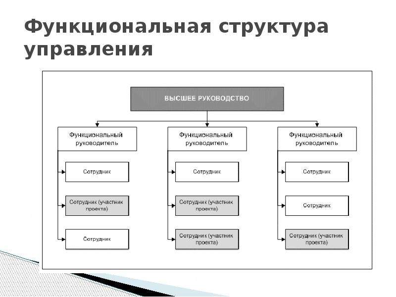 Функциональная структура проекта внедряемой информационной системы