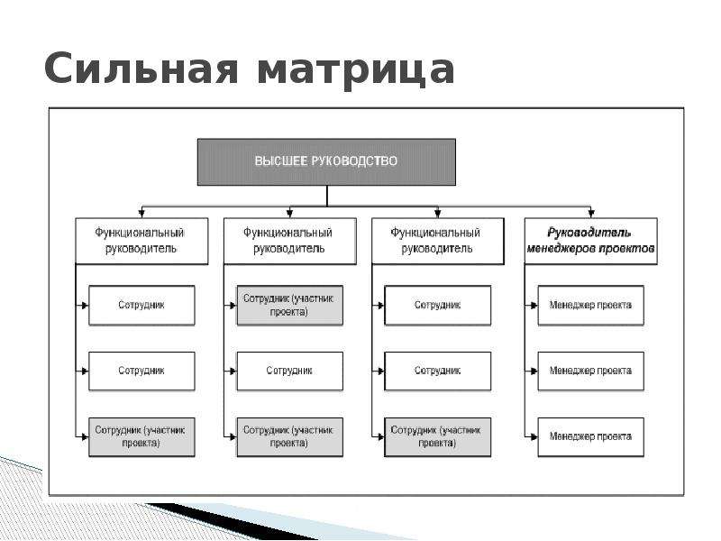 Сильная матрица проекта это