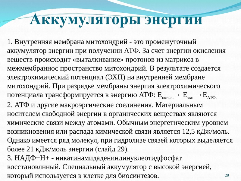 Энергия мембраны. Аккумулятор энергия. Аккумуляторы энергии в клетке. Аккумуляторы энергии в организме. Универсальный биологический аккумулятор энергии.