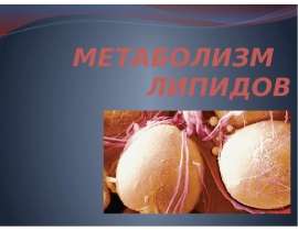 Метаболизм липидов