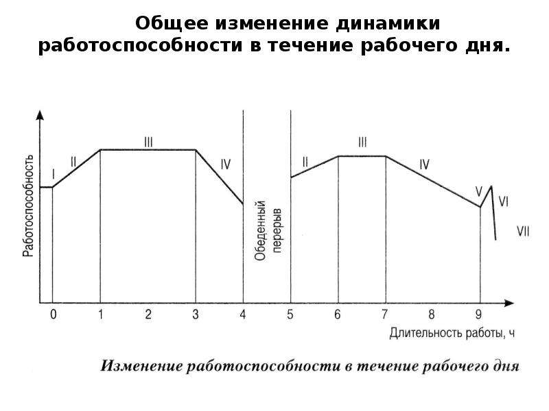 Динамика работоспособности режим дня презентация 8 класс