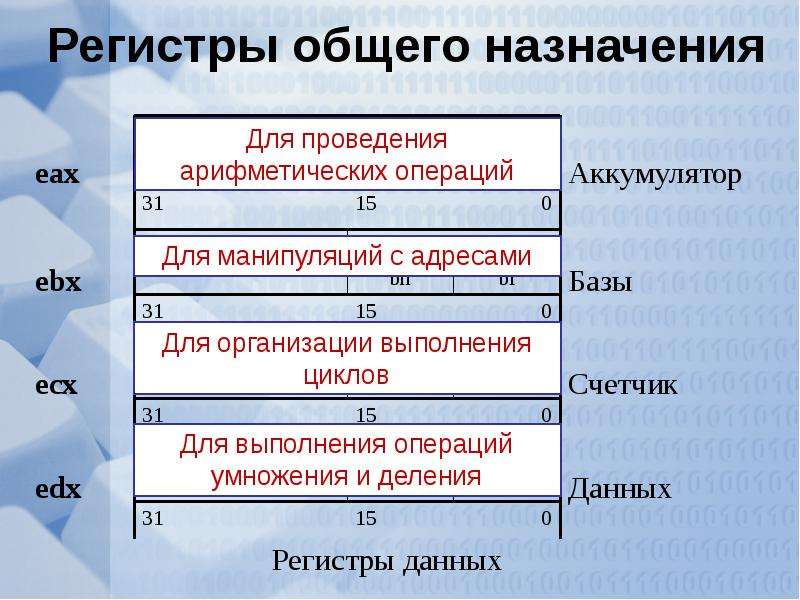 Основные составляющие языка. Управляющие регистры ассемблер. Регистры общего назначения. Компоненты языка. Регистры общего назначения Информатика.