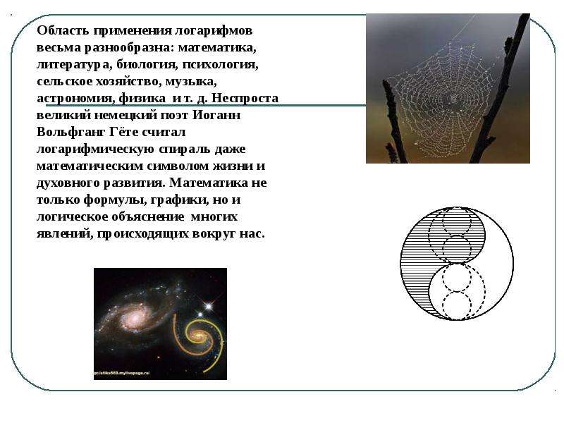 Презентация по математике функции в жизни человека