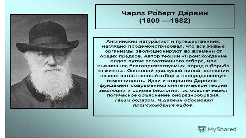 Дарвин что открыл. Натуралисты-Писатели в Европе.