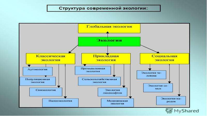 Современное развитие экологии