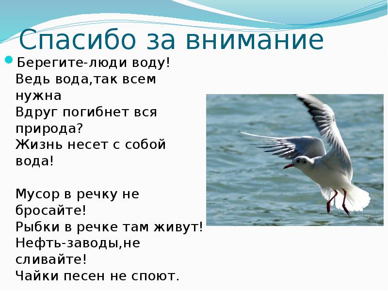 Ведь вода