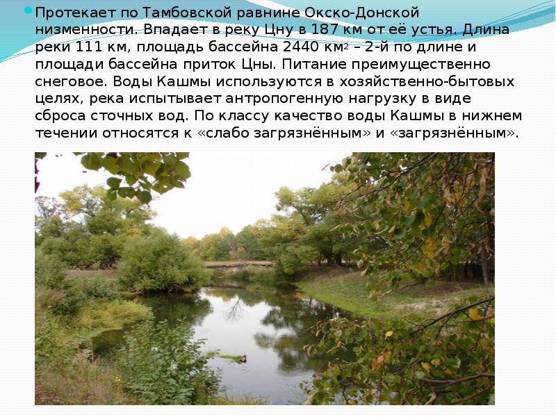 По равнине протекают реки. Окско-Донская низменная равнина. Окско Донская равнина Тамбовская область. Рельеф Тамбовской области Окско-Донская. Окско Донская равнина заповедник.