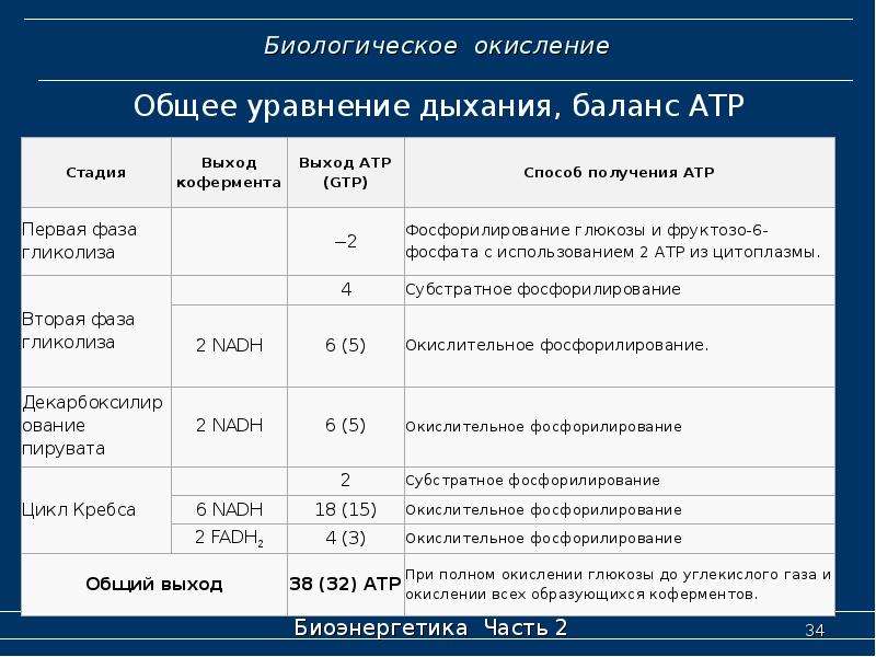 Биологическое окисление. Этапы биологического окисления. Стадии (фазы) биологического окисления.. Стадии биологического окисления биохимия. Биологическое окисление биохимия.