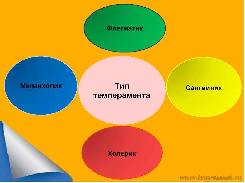 Темперамент и профессия презентация