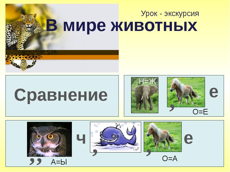 Животные строение и сходство животных. Сравнение с животными пример. Сравнение животных сообщение. Сравнения с животными в русском языке. Текст про сравнение животных.