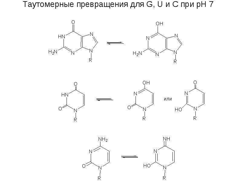 Гетероциклы в нуклеотидах. Гетероциклы в ДНК. Структура нуклеозида. Таутомерные формы нуклеотидов.