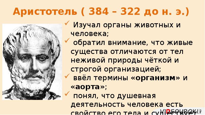 Аристотель наука. Люди (384-322 до н.э.). Согласно Аристотелю чем отличаются люди от других живых существ?.