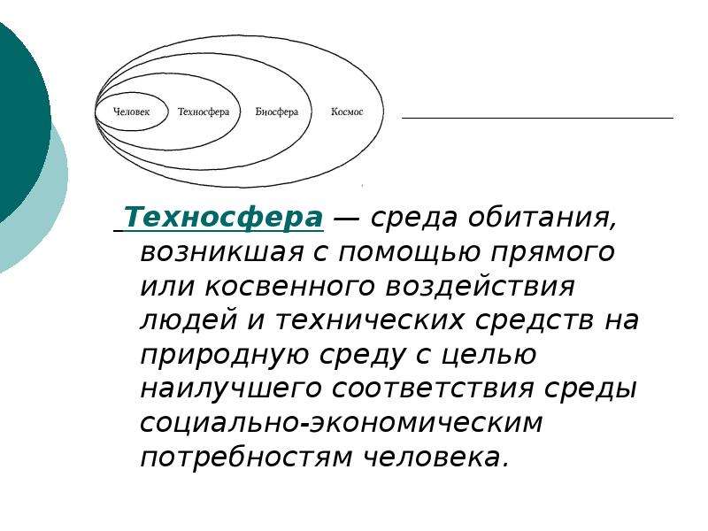 Животный мир в техносфере 5 класс урок технологии презентация