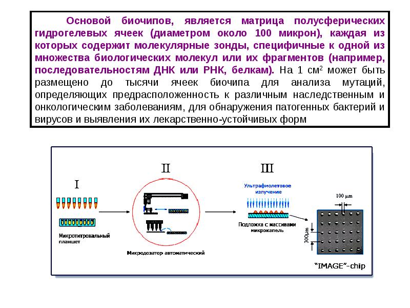 Днк микрочипы презентация