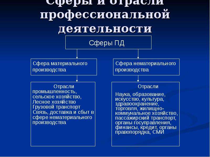 Какие профессиональные сферы. Сферы профессиональной деятельности. Проф сферы деятельности человека. Процесс профессиональной деятельности. Сферы профессиональной деятельности сообщение.