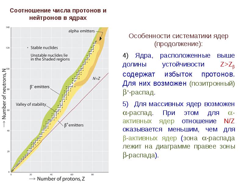 Ядерные отношения. Дорожка стабильности атомных ядер. Устойчивость атомных ядер и их систематика. Долина стабильности ядер. Кривая стабильности ядер.