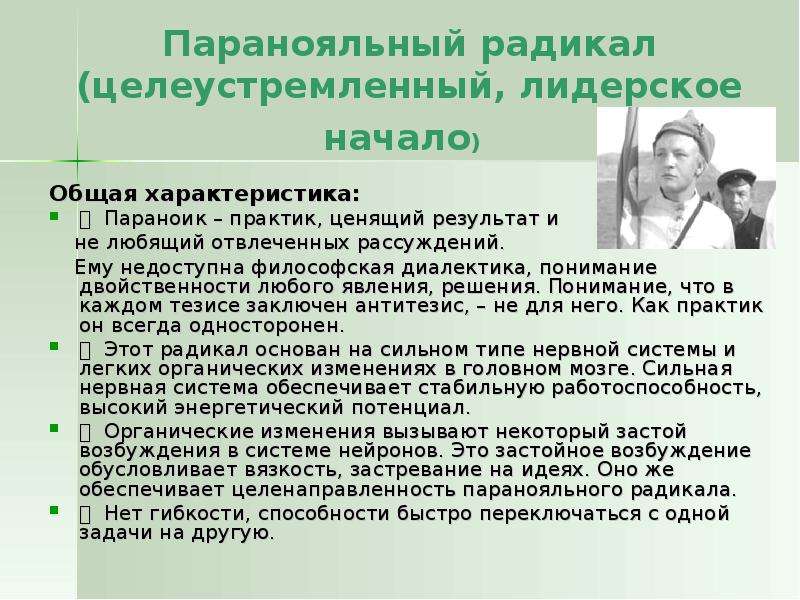 7 радикалов. Паранойяльный радикал. 7 Радикалов характера. Паранойяльный Тип личности примеры. Параноик это 7 радикалов.