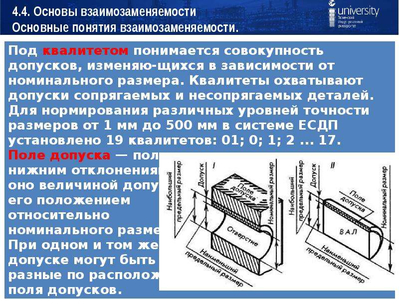 Команда какого проекта должна отличаться наибольшей гибкостью взаимозаменяемостью