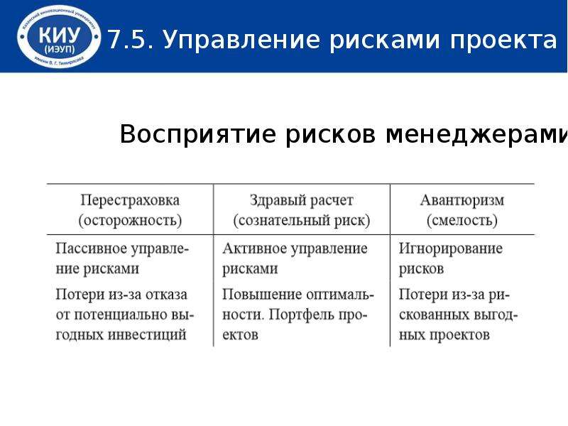 Сводный документ кратко отражающий основные институциональные подсистемы проекта есть