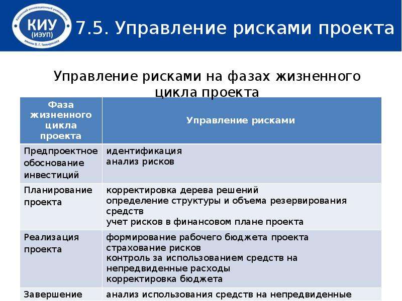 Управление институциональными подсистемами проекта