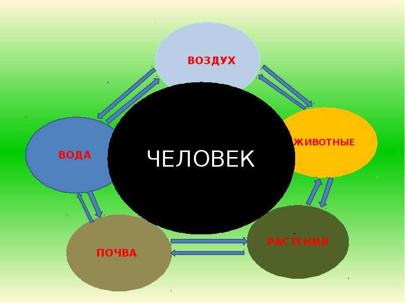 Школа экология презентация 1 класс школа россии