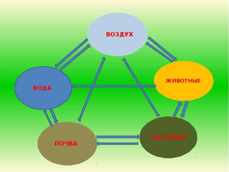 Что такое экология 3 класс окружающий мир технологическая карта