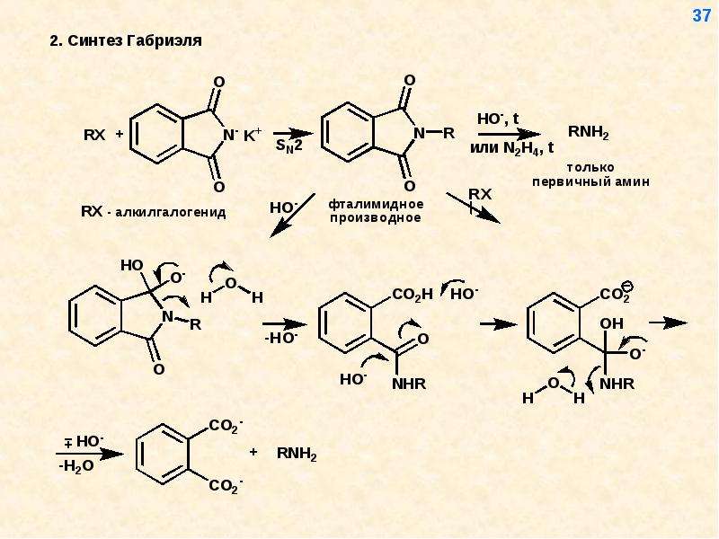 Осуществите синтез. Фталимидный Синтез Габриэля. Реакция Габриэля механизм. Метод Габриэля Амины. Получение Аминов методом Габриэля.