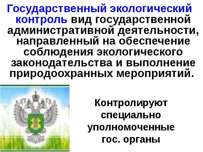 Какие органы осуществляют государственный экологический надзор