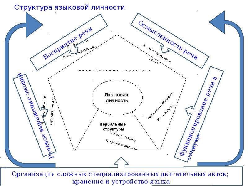 Языковая структура. Структура языковой личности. Лингвистическая иерархия. Языковая личность психолингвистика. Организационная структура лингвистического центра.