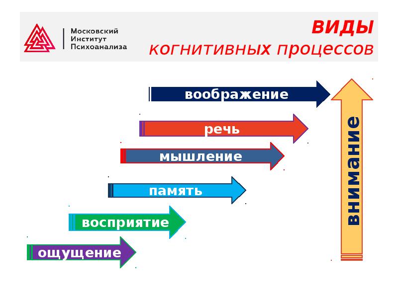 Связь познавательных процессов