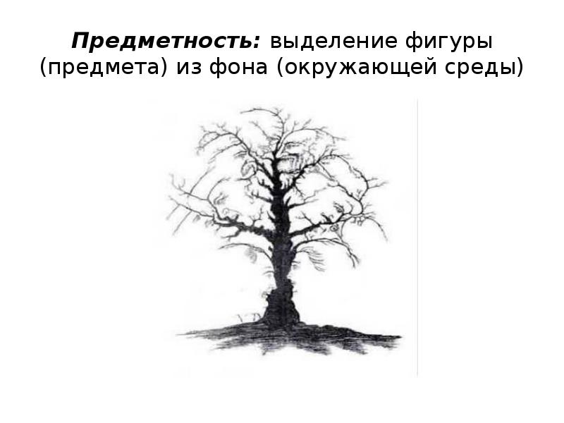 Предметность деятельности. Эмпирическая предметность это. Предметность это в обществознании. Предметность науки это. Детализация и предметность.