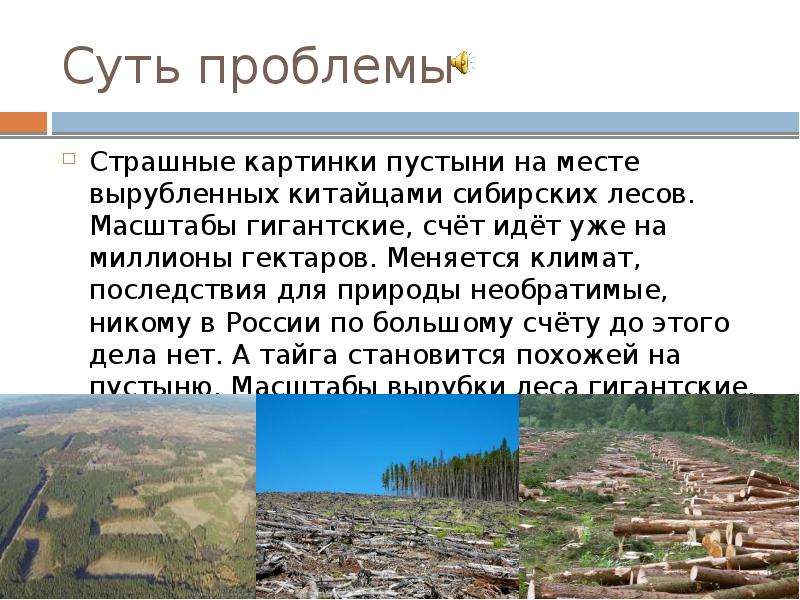 Суть проблемы Страшные картинки пустыни на месте вырубленных китайцами сибирских лесов. Масштабы гиг