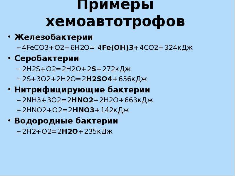 Обмен h2o. Хемоавтотрофы. Фотоавтотрофы и хемоавтотрофы. Хемоавтотрофы примеры. Хемоавтотрофы бактерии.